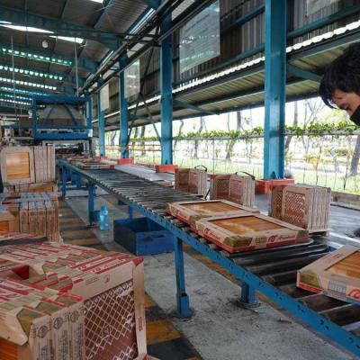 Pasokan Gas Hambat Utilitas Industri Keramik Nasional